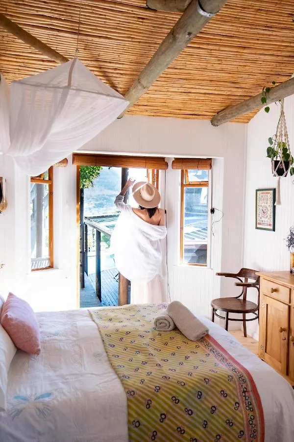 Treetops Cottage Kapstadt Ferienhaus